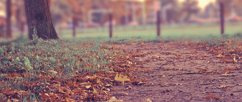 网页版呼叫在线轰炸电话