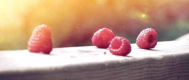 【秒启动极速版】性能优化的免费短信云呼轰炸机